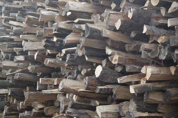 Wood trunks pile forest industry