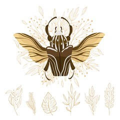 Goliath beetle. Goliathus cacicus vector hand drawn illustration.