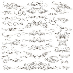 Big collection of vector decorative flourishes and swirls for design
