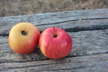 Closeup of ripe red apples on an old wooden bench in the park.