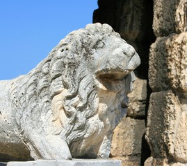Obraz premium ancient stone lion in the coliseum of Pula, Croatia