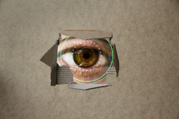 human eye looks through a torn hole in an empty brown cardboard blank, craft paper, concept of...