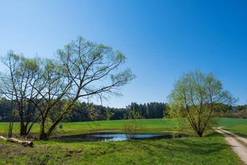 Obraz premium Idyllische Landschaft in der Fränkischen Schweiz/Deutschland