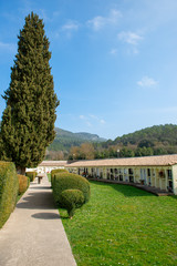 Flowers in a cemetery