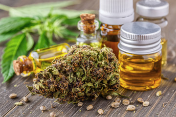 Green leaves of medicinal cannabis with extract oil.Medical marijuana flower buds. Hemp buds - medical marijuana concept
