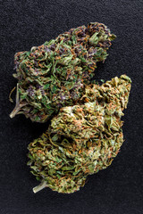 Medical marijuana flower buds. Recreational marijuana strain. Cannabis strain. Weed bud in the glass jar. Dispensary menu. Hemp buds.isolated on black - medical marijuana concept