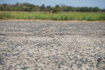 Country road Beside the road is a rice field.