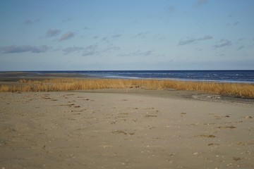 Fototapeta na wymiar conservation area Peenemuender Haken. Struck and Ruden, Baltic Sea