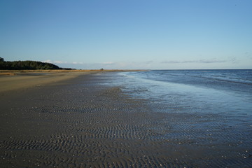 conservation area Peenemuender Haken. Struck and Ruden, Baltic Sea