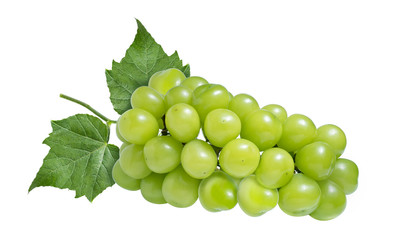 Green grape with leaves isolated on white. Shine Muscat Grape With clipping path.