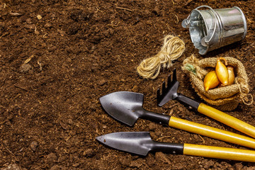 Garden tools on soil background. Plant care concept. Shovels and rake, bucket, thread, onion