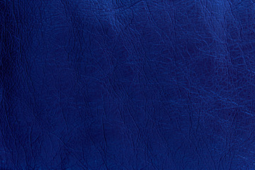 Blue Leather Texture