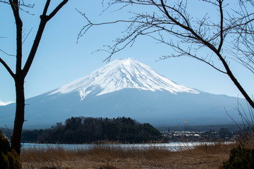 Obraz premium 富士山