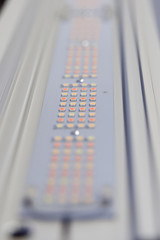assembled PCB with SMD LEDs and connectors for agricultural usage