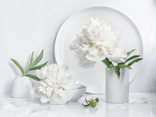 Still life in a minimalist white color scheme. One white peony flower in a vase against a white circle, 2 bowls with a peony leaf.