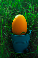 an orange Easter egg in a small bucket of blue that stands among the grass