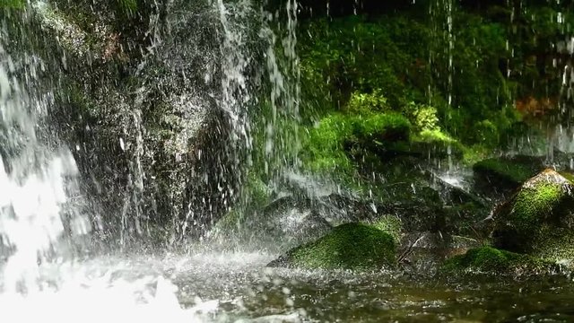 猿壺の滝の苔と水しぶき