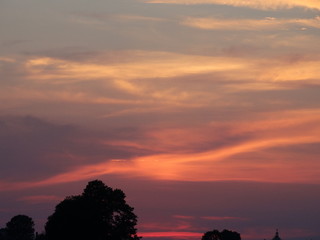 sunset over the trees