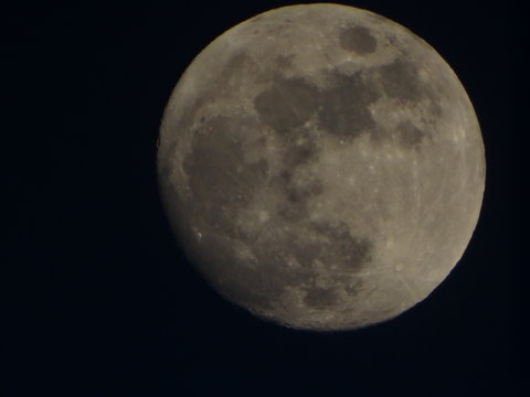 full moon in the night
