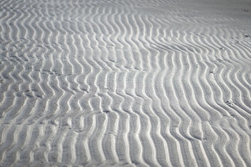 Rippled sand pattern at baltic sea beach