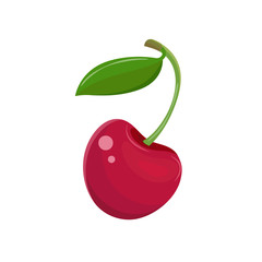 Red cherry in a vector on a white background. Garden berry with a leaf on the stem. Sweet fruit. Berry icon. Hand drawn vector illustration
