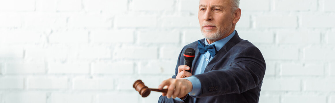 panoramic shot of auctioneer holding microphone and pointing with gavel during auction