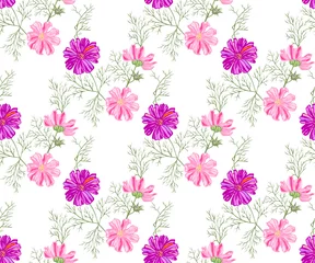 Foto op Plexiglas Seamless floral pattern with Cosmos bipinnatus. Hand drawing decorative background. Vector pattern. Print for textile, cloth, wallpaper, scrapbooking © Artmirei