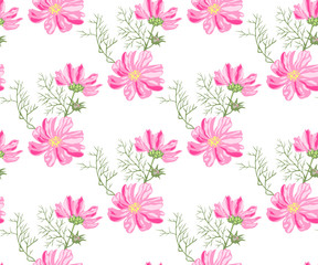 Fototapeta na wymiar Seamless floral pattern with Cosmos bipinnatus. Hand drawing decorative background. Vector pattern. Print for textile, cloth, wallpaper, scrapbooking