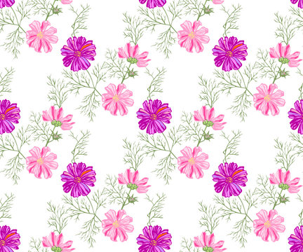 Seamless floral pattern with Cosmos bipinnatus. Hand drawing decorative background. Vector pattern. Print for textile, cloth, wallpaper, scrapbooking © Artmirei
