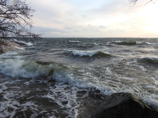 Pamprinniemi