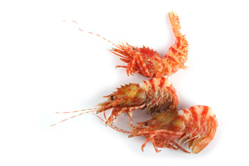 Shrimps isolated on white (northern Bering shrimp)