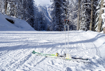 Ski and poles on the slope in winter forest in mountains, ski equipment