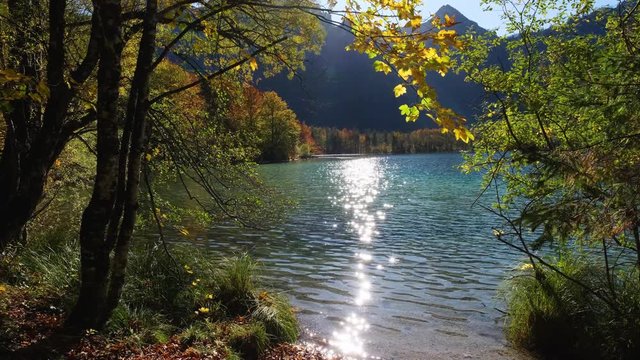 Sunny idyllic colorful autumn alpine view. Peaceful autumn Alps mountain lake with clear transparent water and sun reflections. Offensee lake, Salzkammergut, Upper Austria.