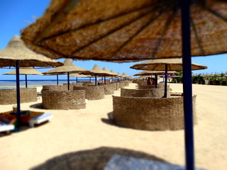 umbrellas on Egypt beach