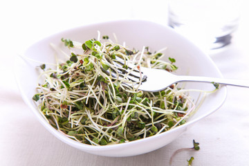 Radish microgreen in bowl