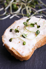 Toasts with microgreen radish