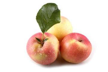 Apples and leaves