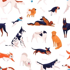 Printed kitchen splashbacks Dogs Various domestic doggy breeds seamless pattern. Different cute purebred dog posing, sitting, standing and playing isolated on white background. Adorable pet animal type vector flat illustration