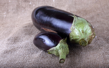Aubergines on bagging