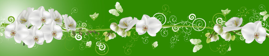Obraz na płótnie Canvas white butterflies and orchids on green stripe