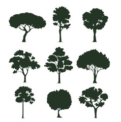Fototapeta premium Trees silhouette on white background vector illustration EPS10
