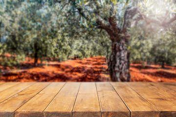 Table background of free space and olive grove landscape.Copy space for your decoration. 
