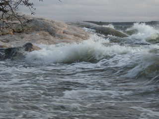 Fototapeta premium Pamprinniemi