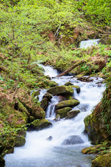 rapid water stream in the forest. powerful flow among the mossy rocks. beautiful nature scenery in spring. vivid green foliage on the trees
