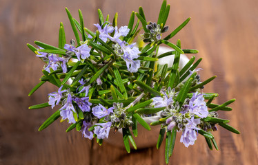 Fresh purple flowering rosemary on a rustic wooden background