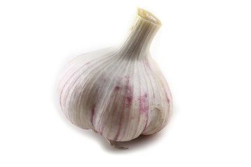 Garlic isolated on white