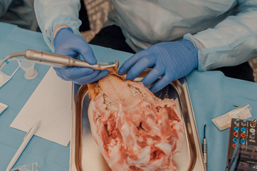 Dental implants dental training