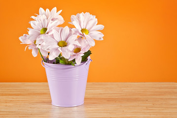 Pink daisies in purple bucket on orange background. Bouquet of flowers on a wooden board.