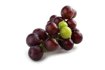 Wine grape isolated on white