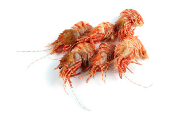 Shrimps isolated on white (northern Bering shrimp)